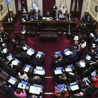 El Senado Buscar Convertir En Ley El Proyecto De Alivio Fiscal El