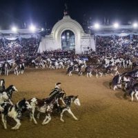 La Exposici N Rural Cerr Con Un Balance De M S De Millones De