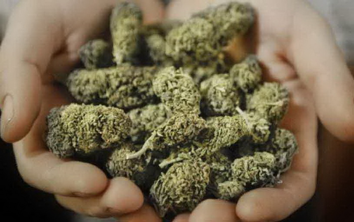 marihuana