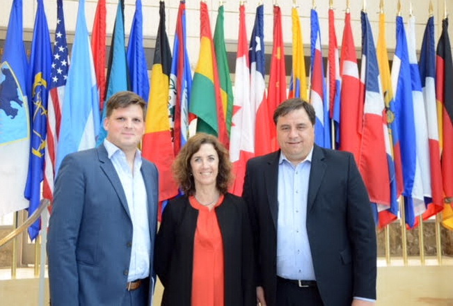 diputados