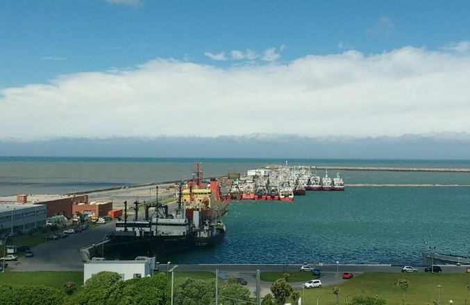 muelle