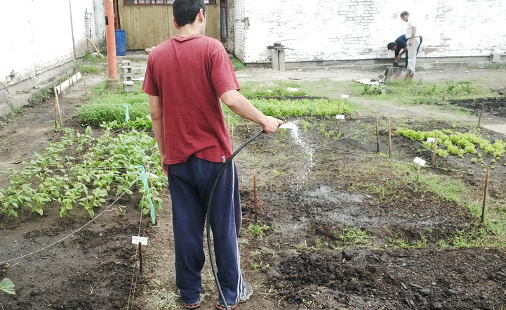 Huerta 11