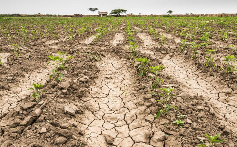 Juntos pide la emergencia agropecuaria y la creación de un fondo especial  por la sequía – El retrato de Hoy