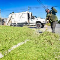 Retiraron más de 2200 toneladas de residuos de microbasurales – El ...